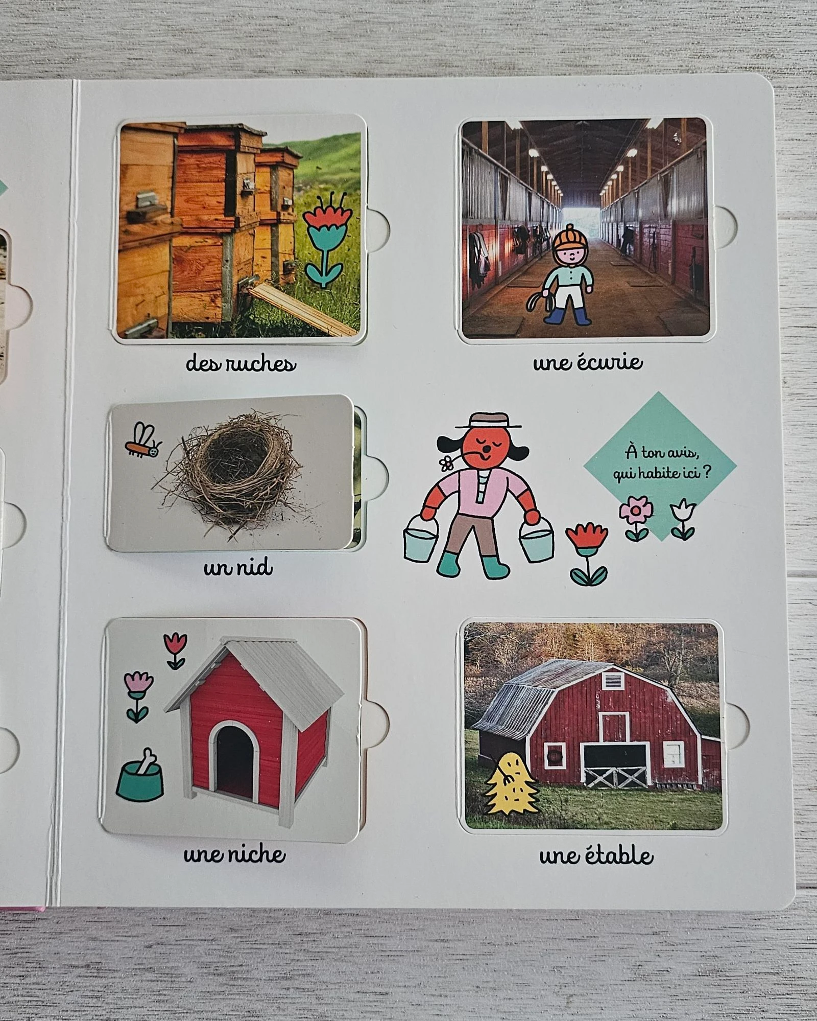 Libro '' Gran imaginería '' – photo 4